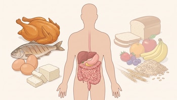 Qué es la dieta Dukan y por qué los expertos advierten sobre sus riesgos