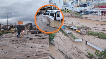 Fotos y videos de la