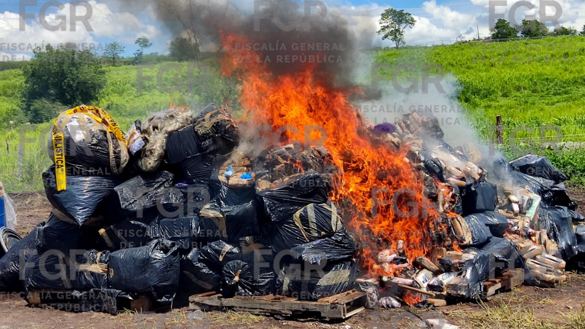 FGR destruye más de tres toneladas de drogas en Colima: pérdida para el crimen organizado supera los 648 millones de pesos