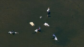 El rescate de los 125