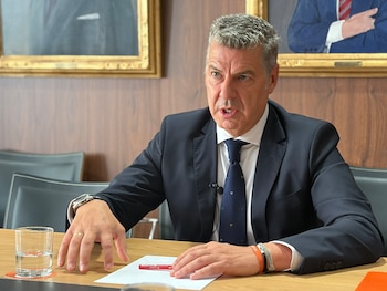 Miguel Ángel Vázquez Taín, presidente del Consejo General de Economistas de España. (Infobae)