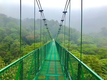 Vista frontal de un largo puente colgante verde sobre un bosque brumoso. Una persona con un impermeable amarillo camina en la distancia