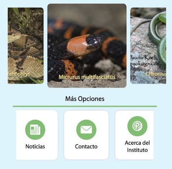 El sistema incluye información sobre 25 especies venenosas presentes en el país. Cortesía: UCR