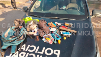 Los elementos encontrados en el