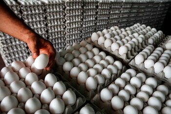 . EFE/Orlando Barría/Archivo