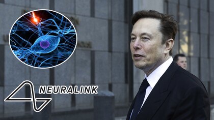 Neuralink de Elon Musk anunció la búsqueda de un segundo voluntario para implantar su chip cerebral 