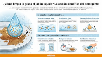 Infografía con título "¿Cómo limpia la grasa el jabón líquido?", un plato con residuos grasos, una gota de jabón, diagramas moleculares de tensioactivos, beakers y una mano con cepillo.