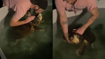 Hemby lamentó la "misteriosa desaparición"