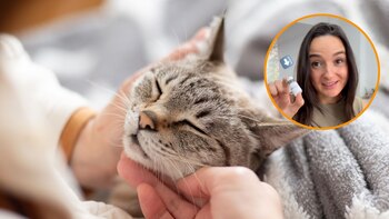 Montaje con una imagen de