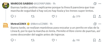 Un perrito se encontraba en la zona de vías de la Línea 8 del Metro de la CDMX. Foto: X/@MetroCDMX.