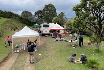 Fotografía de referencia. Animales esterilizados gracias al Animóvil