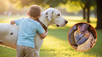 Timmy, el gran danés sordo que se ha convertido en el mejor amigo de un niño autista de 5 años: una amistad que no necesita palabras