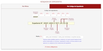 Captura de pantalla de una interfaz web con el título "BÚSQUEDA DE EXPEDIENTES", campos de entrada para código y parte, y diagrama explicativo del formato del código