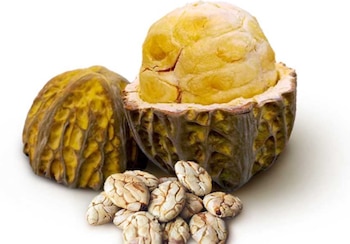 Macambo: el ‘snack saludable’ rico