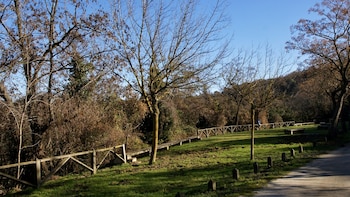 Font Groga conserva la frondosidad y la humedad que lo diferencian del resto del macizo. (Parc Natural Collserola)