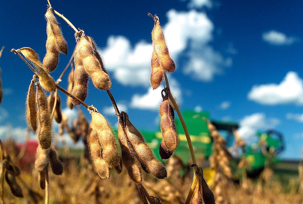 Uruguay: exportaciones crecen más de 6% en varios sectores
