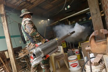 El dengue, transmitido por la