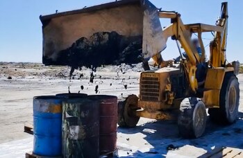 Profepa realiza el retiro de