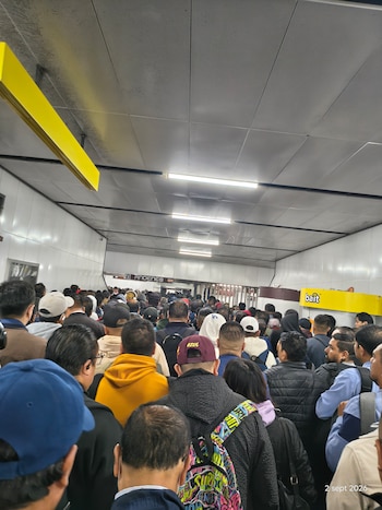 Avance en tiempo real de las diversas líneas de la red de transporte público capitalino.