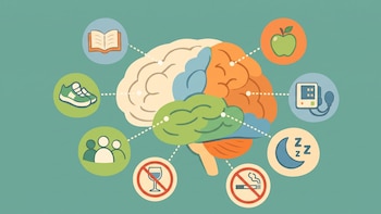 Ejercicio o siesta: qué ayuda al cerebro después de una noche sin dormir