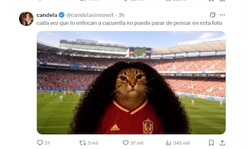 Gato con cabello largo y rizado, con camiseta de fútbol roja de la selección española, logo Adidas y escudo, en el césped de un estadio