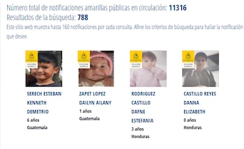 Las alertas amarillas de Interpol revelan abundantes casos de menores que tenían menos de 12 años al momento de desaparecer. Muchas alertas llevan más de diez años activas. (Foto retomada del portal de Interpol).