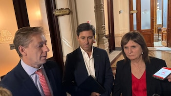 La UCR nacional se opone a la Ley de Tierras y les pidió a los senadores que voten en contra