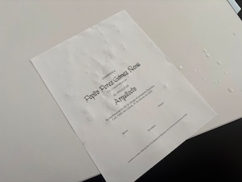 Papel blanco con un diploma de arquitecto y el nombre Pepito Pérez Gómez Neniu. Se observan varias gotas de agua sobre la superficie del papel