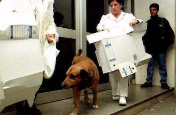 Foto de Canelo junto a