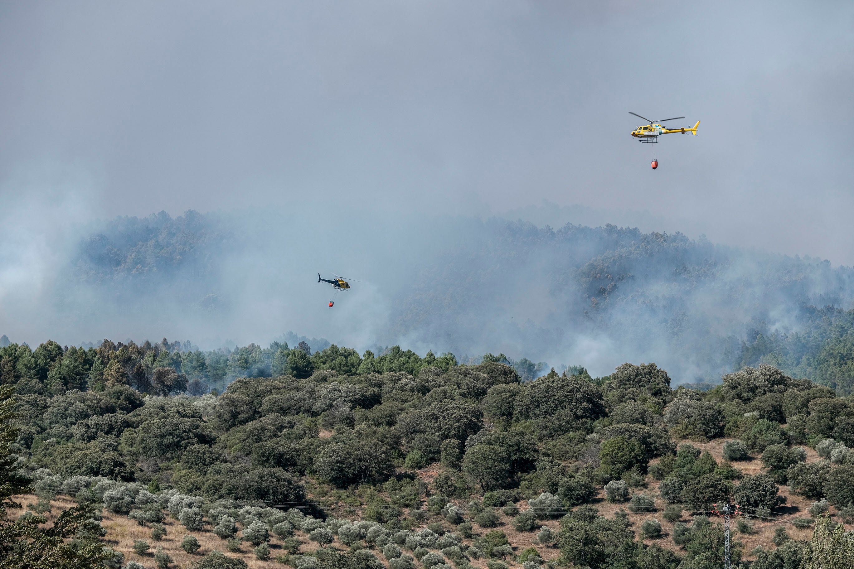 La Guardia Civil investiga a un alcalde de Vox como presunto causante del incendio de La Mierla (Guadalajara)
