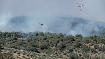 La Guardia Civil investiga a un alcalde de Vox como presunto causante del incendio de La Mierla (Guadalajara)