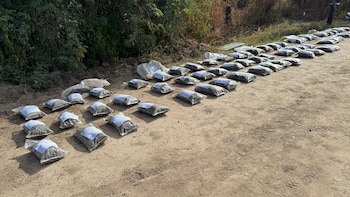 Llevaban más de 55 kilos