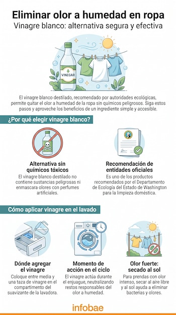 Infografía muestra una botella de vinagre, ropa secándose al sol, una lavadora y cómo agregar vinagre en el compartimento del suavizante de ropa.