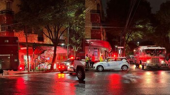 Caída de árboles en Colonia