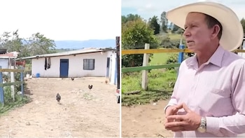 Familia denunció que nueve perros rescatados en Antioquia fueron envenenados: ofrecieron recompensa por el responsable