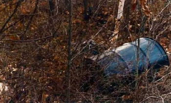 Asesinatos de Bear Brooks