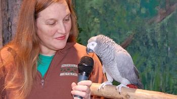 "Estamos agradecidos por la alegría