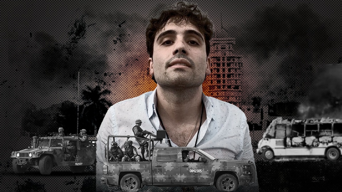 Uno a uno, los errores de Ovidio Guzmán que permitieron su captura en Jesús María, Sinaloa - Infobae