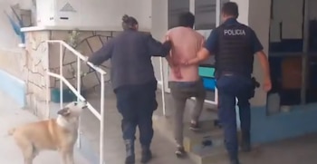 Aprehendieron a un empleado municipal de Mar del Plata que conducía alcoholizado (Diario La Capital de Mar del Plata)