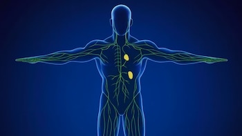 La guía para activar el