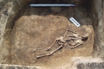 Restos óseos humanos hallados en el yacimiento neolítico de Sławęcinek