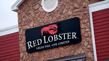 Una conocida cadena de restaurantes