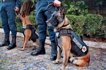 Miembros de la Unidad Canina