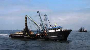 Pesca industrial de anchoveta podría paralizarse por más de un año tras decisión de Produce