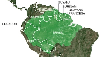 La selva ocupa la mayor