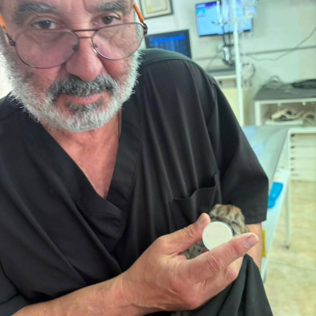 El parque destaca la importancia de respetar las velocidades máximas y la atención permanente para proteger la fauna en sus rutas internas