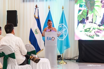El proyecto RECLIMA atendió a más de 40.449 productores y productoras para mejorar la seguridad alimentaria y la respuesta ante eventos climáticos extremos./ (FAO)