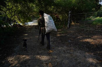 Tepalcatepec, Michoacán, México. (Foto: Juan