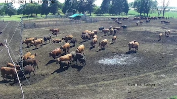 (Crédito: Prensa SISE)