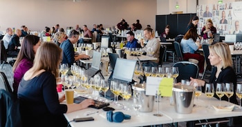 Vinos premiados Decanter World Wine Awards